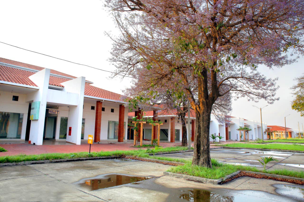 Imagen 5
